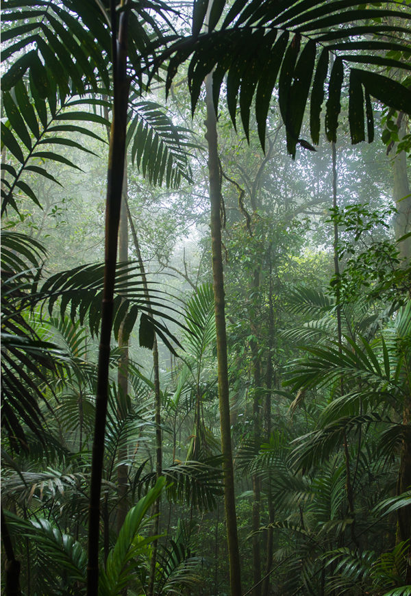 Costarica #3